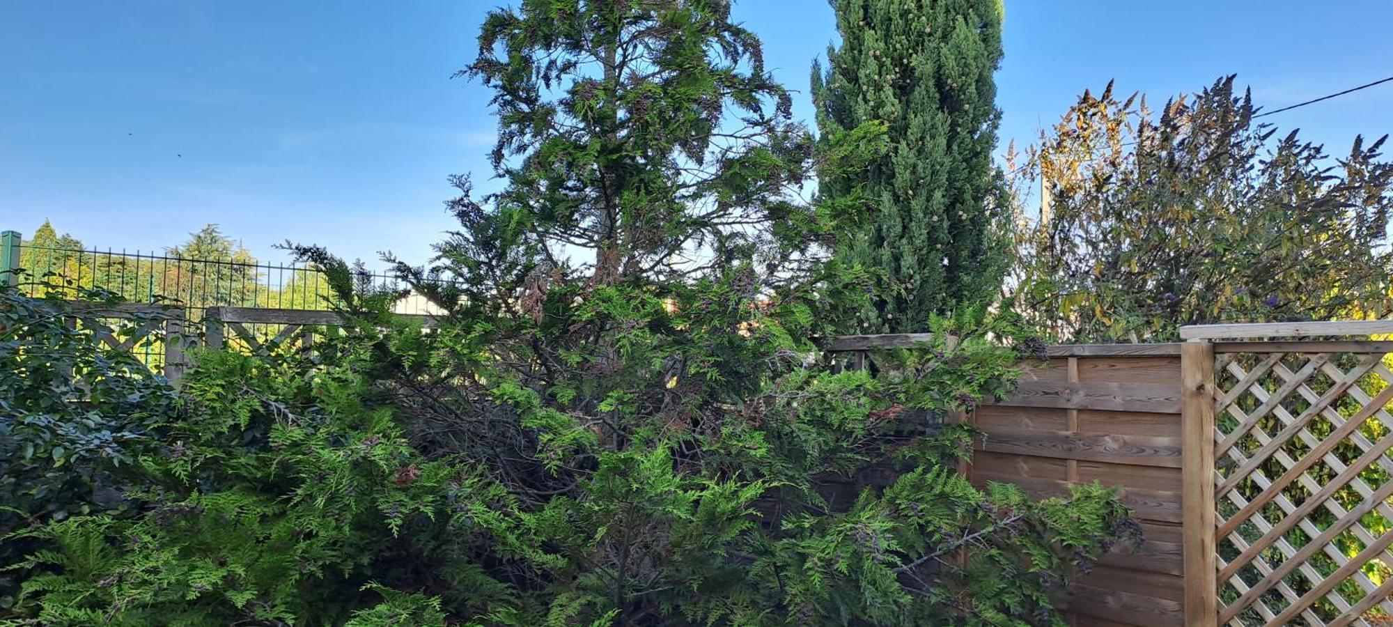 Villa Des Climats Bourgogne Marsannay-la-Cote Ngoại thất bức ảnh